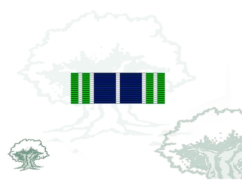 Pasador Medalla ONU (AFGANISTÁN)