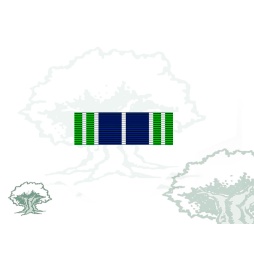 Pasador Medalla de la ONU (AFGANISTÁN) Rodmen escalable