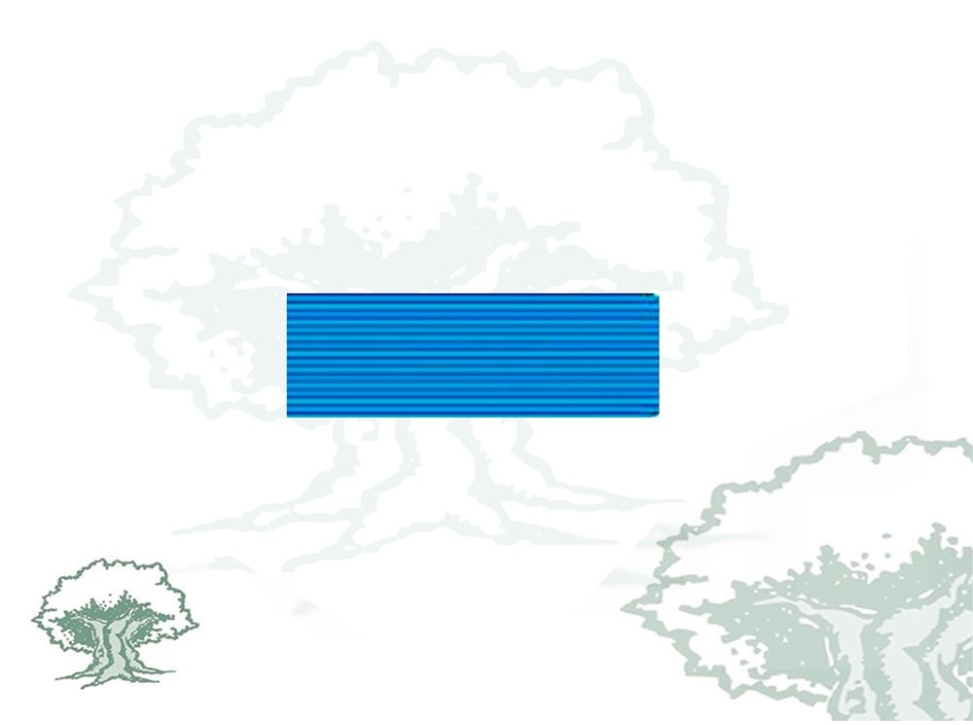 Pasador Medalla de Sufrimiento por la Patria