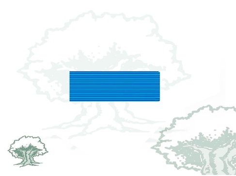 Pasador Medalla de Sufrimiento por la Patria Rodmen escalable