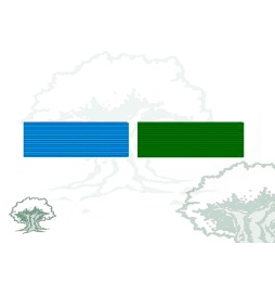 Pasador Medalla de Sufrimiento por la Patria Rodmen escalable