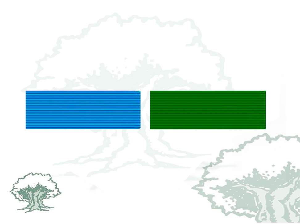 Pasador Medalla Sufrimiento por la Patria Rodmen escalable