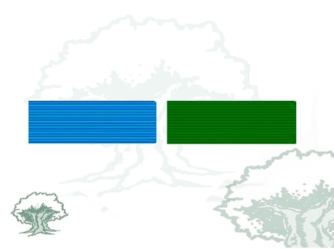 Pasador Medalla de Sufrimiento por la Patria