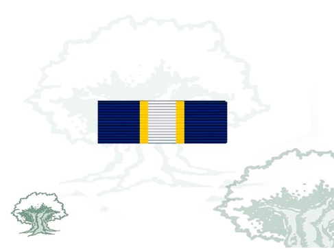 Pasador Medalla Eurogendfor