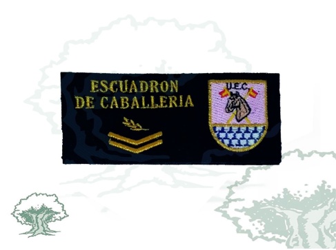 Galleta UEC Policía Nacional personalizada