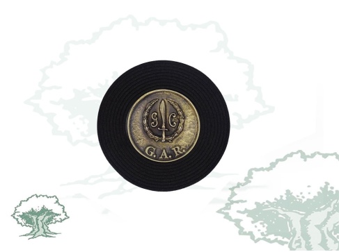 Moneda GAR de la Guardia Civil