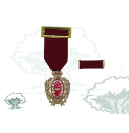 Medalla Ciudad de Úbeda