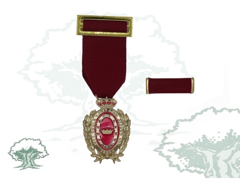 Medalla Ciudad de Úbeda Medalla Ciudad de Úbeda