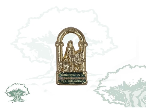 Pin Junta de Andalucía