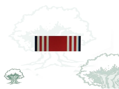 Pasador Vigilante Mención Honorífica categoría B