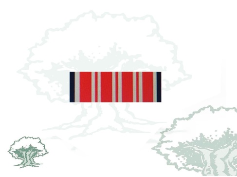 Pasador Vigilante Mención Honorífica categoría A Rodmen escalable