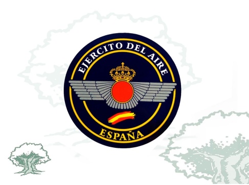 Pegatina Ejército del Aire