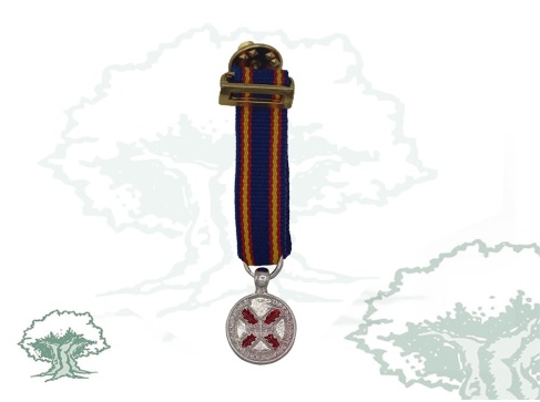 Medalla de Campaña miniatura