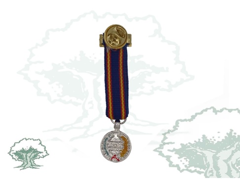 Medalla de Campaña miniatura