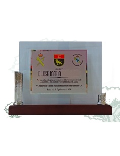 Placa de cristal con columnas 2