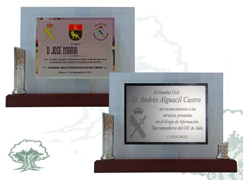 Placa dedicatoria de cristal con columnas