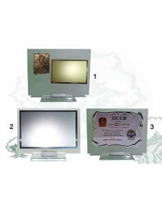 Placa Guardia Civil de cristal traslúcido varios modelos