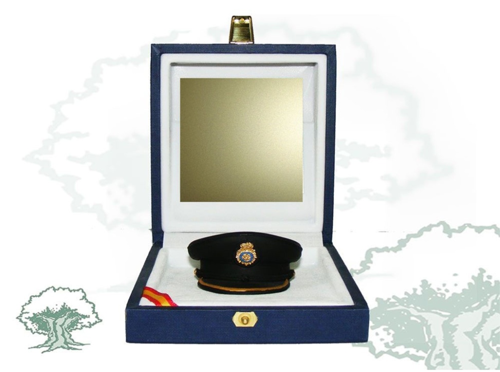 Gorra de plato Escala Básica Policía Nacional de escritorio