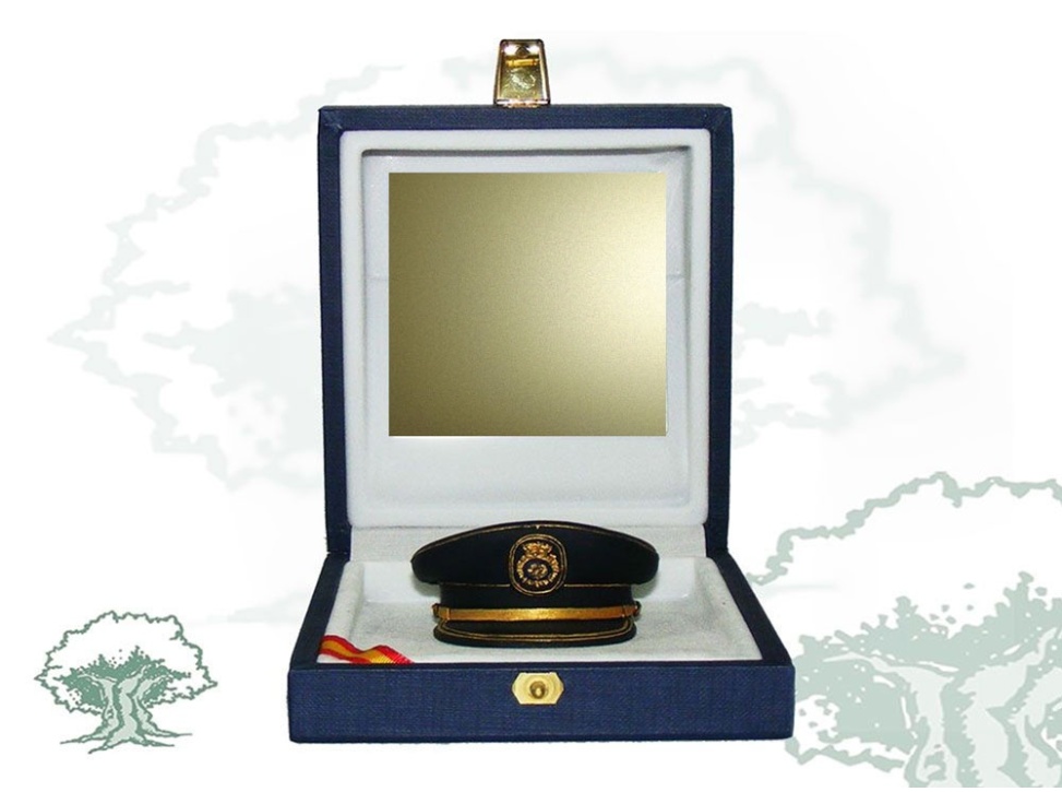 Gorra de plato Inspector Policía Nacional de escritorio