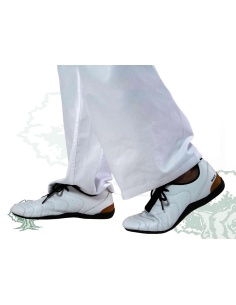 Zapatillas Fujimae Wave 2