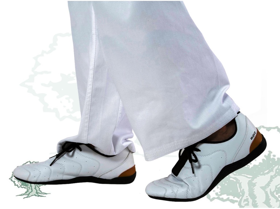 Zapatillas Fujimae Wave