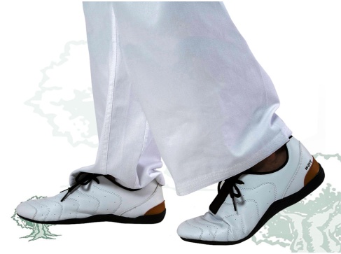 Zapatillas Fujimae Wave