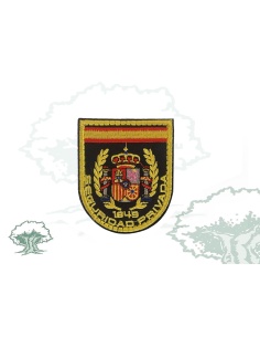 Parche Seguridad Privada
