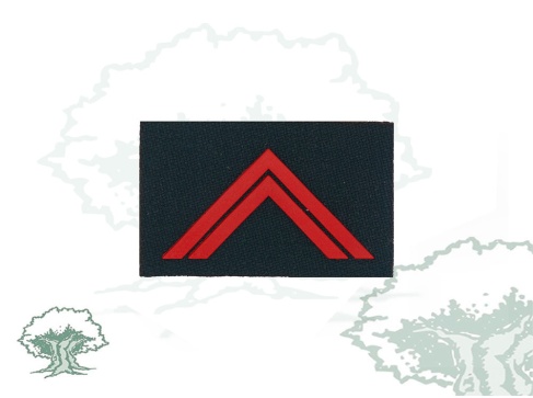 Galleta Guardias Jovenes 2º año