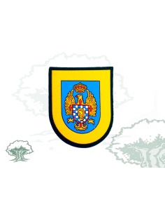 Parche Academia General Militar