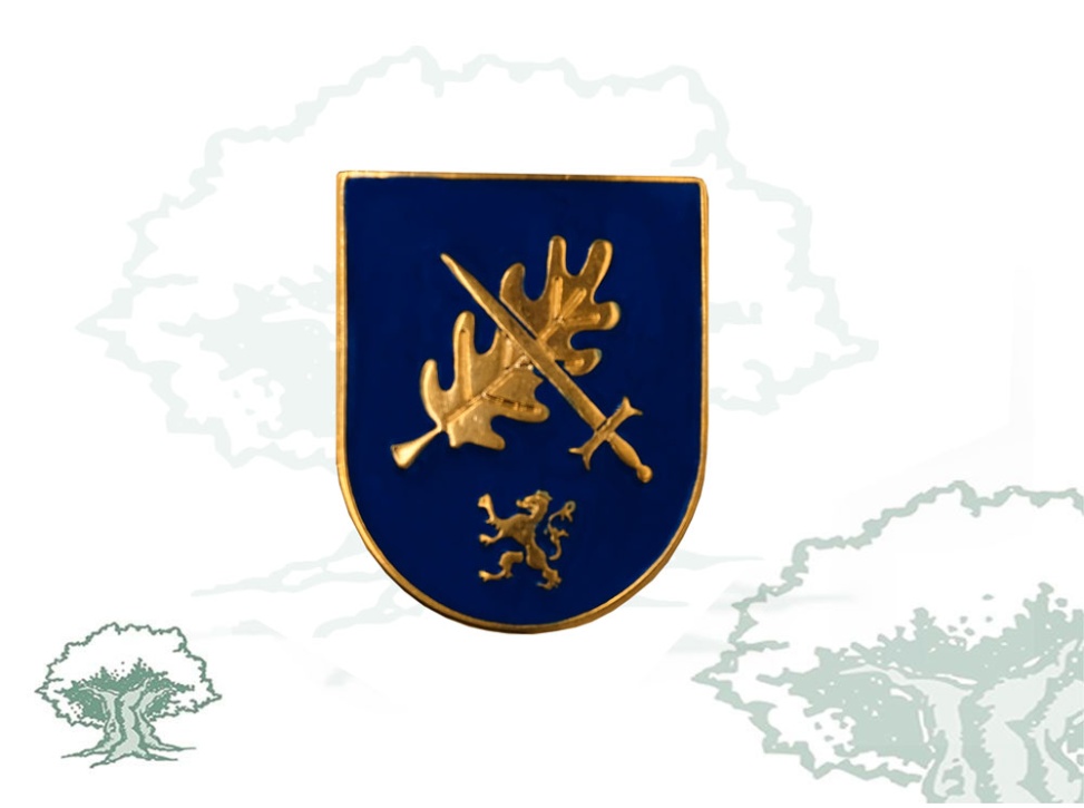 Distintivo Curso Avanzado Mando Unidades Uniformadas Policía Nacional