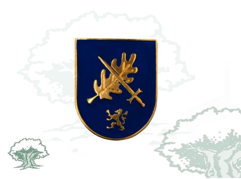 Distintivo Curso Avanzado Mando Unidades Uniformadas Policía Nacional