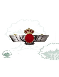 Roquisqui Cuerpo General Ejercito del Aire