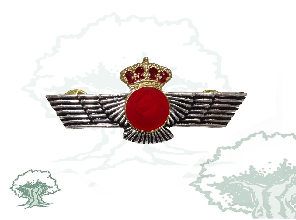 Roquisqui Cuerpo General Ejercito del Aire