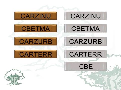 Barra Distintivo Curso Básico de Emergencias