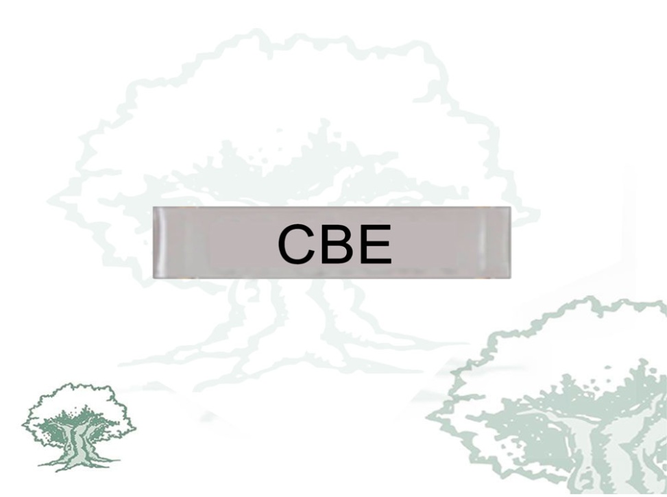 Barra Distintivo Curso Básico de Emergencias