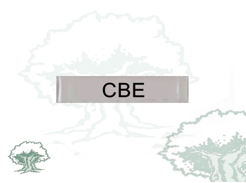 Barra Distintivo Curso Básico de Emergencias