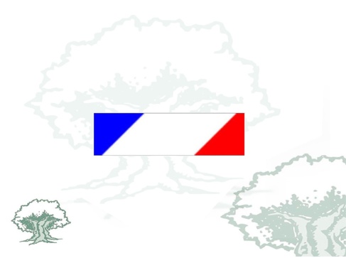 Pasador para montaje de telas especial