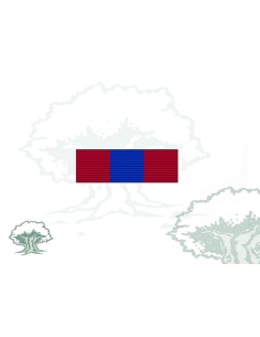 Pasador Condecoración Medalla de Bronce de la Defensa Nacional (Francia)