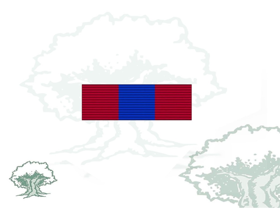 Pasador Condecoración Medalla de Bronce de la Defensa Nacional (Francia)