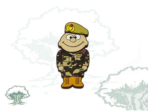 Pendrive Fuerzas Armadas