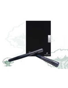 Set bolígrafo y pluma Pierre Cardin