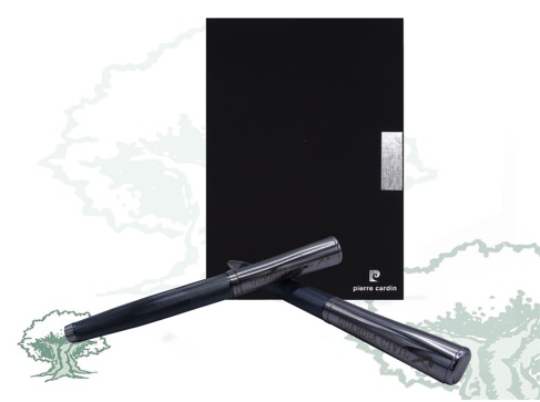 Set bolígrafo y pluma Pierre Cardin