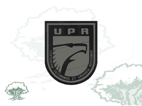 Galleta UPR Policía Nacional luminiscente