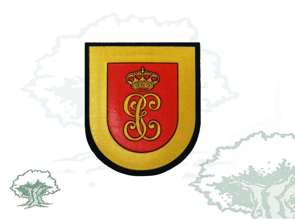 Parche Subdirección General de Operaciones Guardia Civil