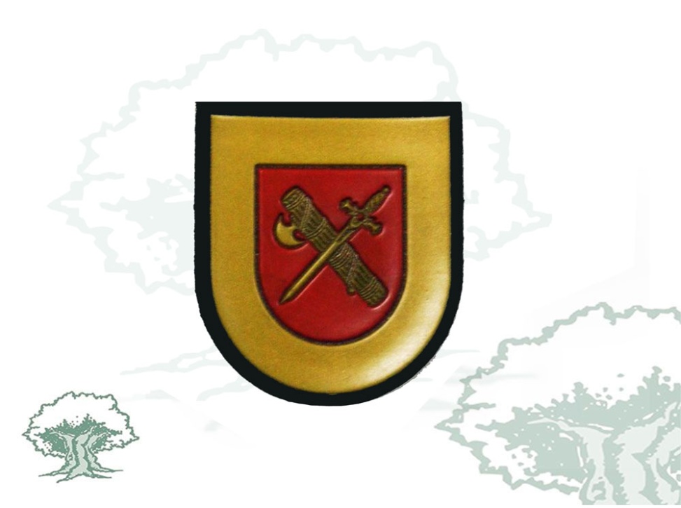 Parche Dirección General Guardia Civil