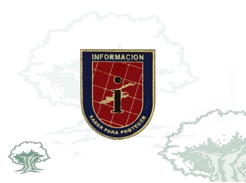 Distintivo de función Información Policía Nacional