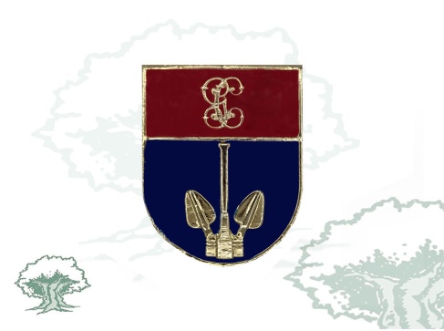 Distintivo de título Servicio Marítimo de la Guardia Civil