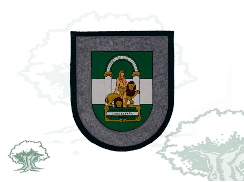 Parche Comunidad Autónoma de Andalucía