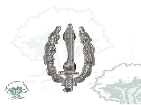 Distintivo Curso Básico de Operaciones Especiales CABOE