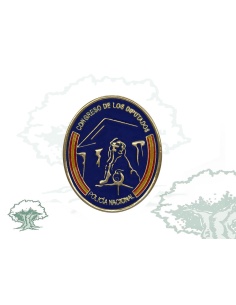 Distintivo de función Congreso de los Diputados